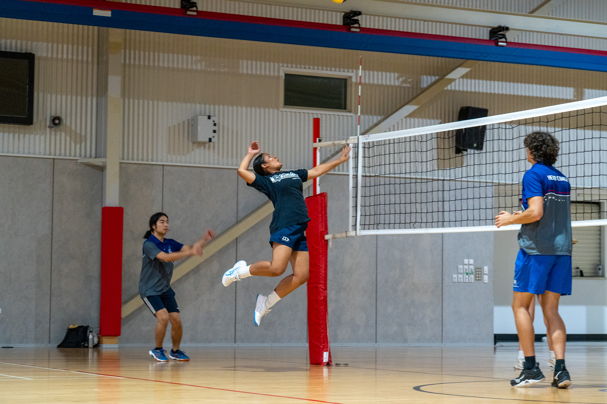 Sharks Volleyball athlete jumps to spike while coaches observe at the net