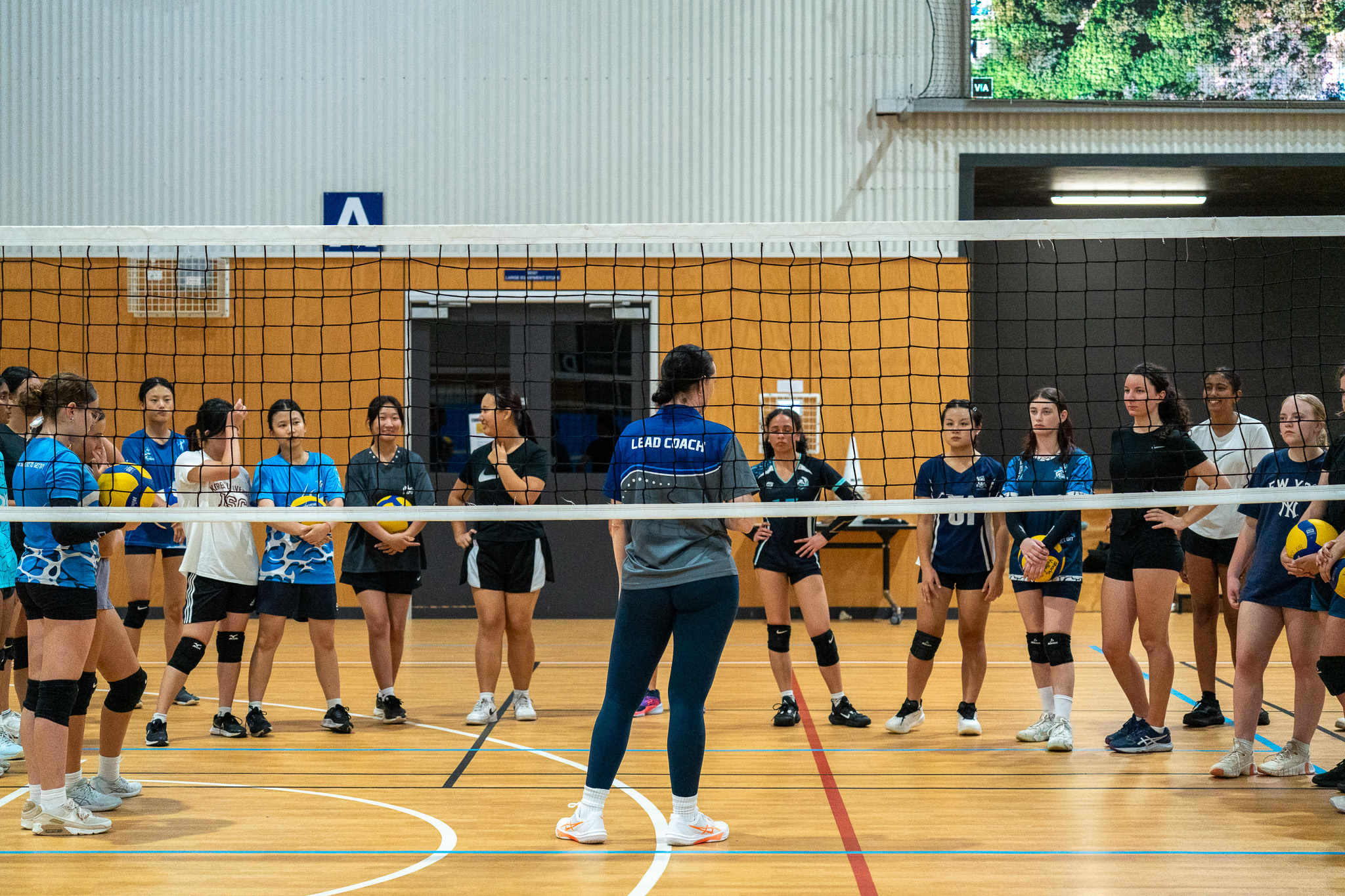 Sharks Volleyball lead coach briefing a group of athletes on court
