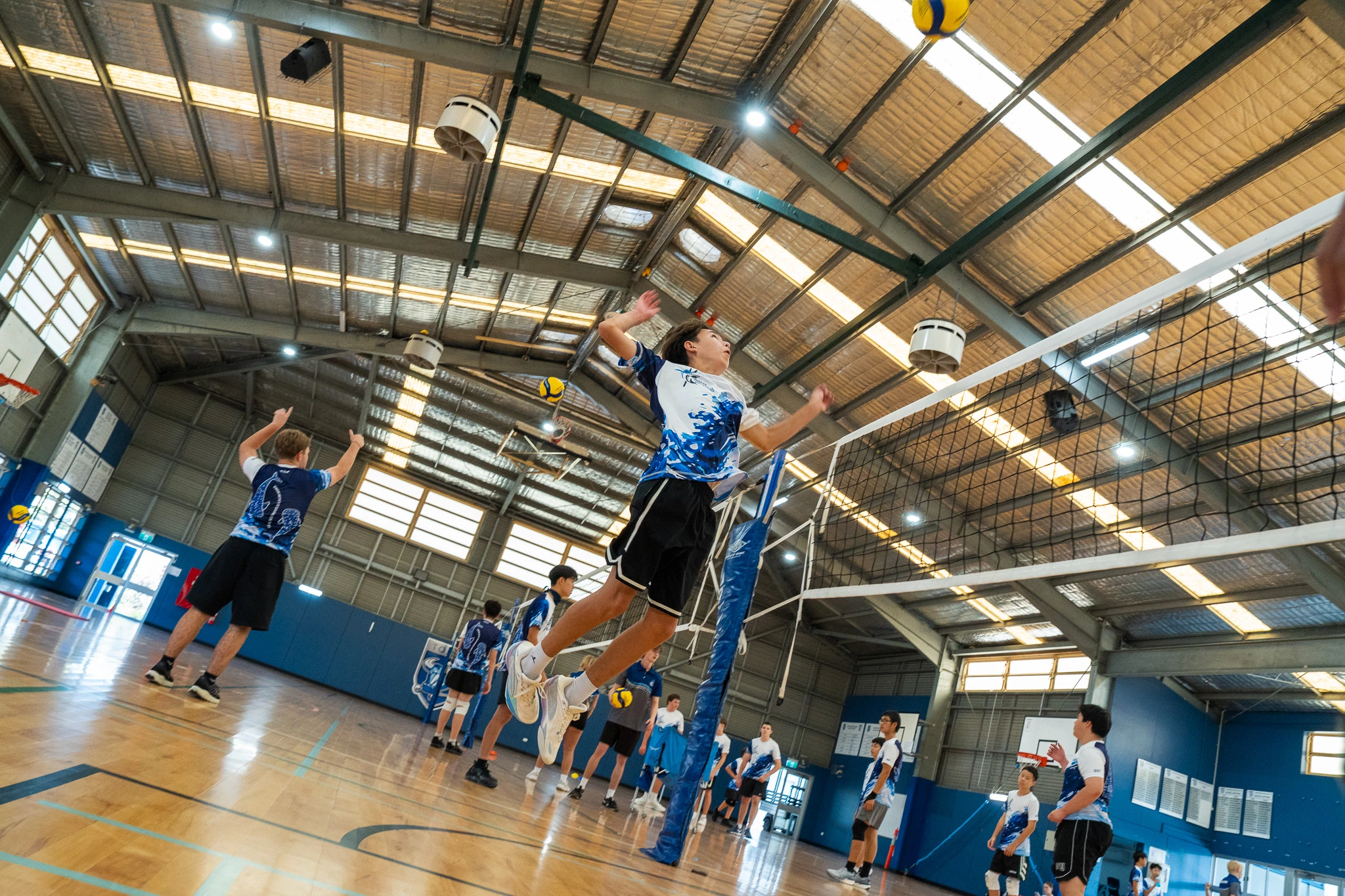Sharks Volleyball athlete attacking at the net during a 2026 training session